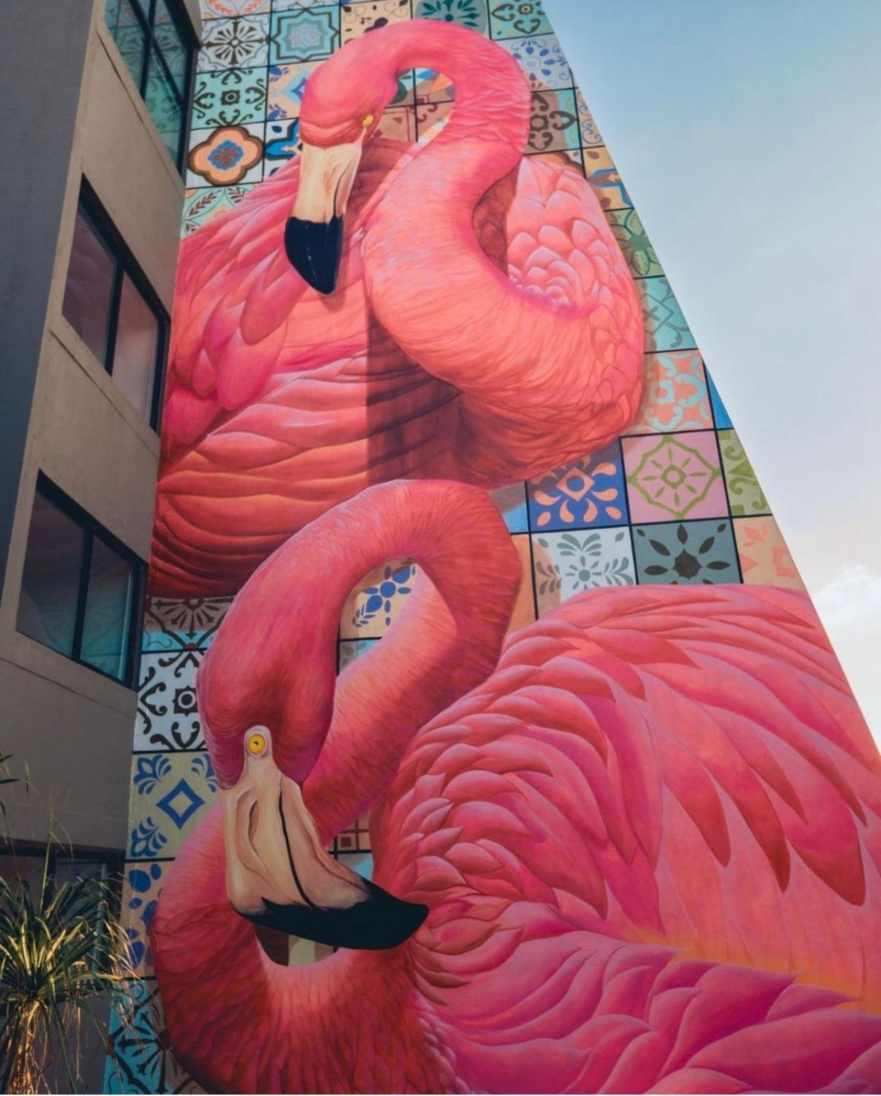 Flamingo Cancun All Inclusive Buitenkant foto